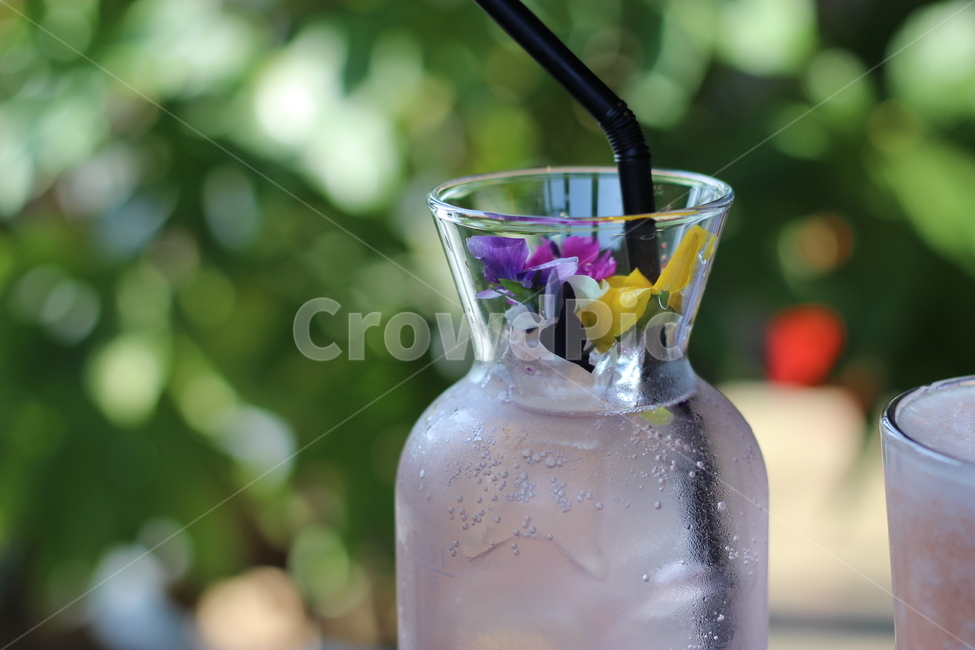 Lemonade,cafe,ade,beverage,Pink Lemonade,edible flowers