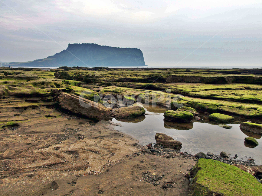 성산일출봉,광치기해변,올레2코스,제주,서귀포시,명승지,관광지,자연,풍경,nature,landscape,한국자연풍경,한국자연경관,korea nature landscape,제주도,jeju,jeju island,ground,바닥