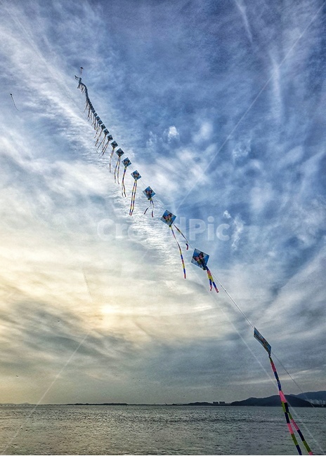 레저활동,flying,나는,연,연날리기,연날리기축제,월미도