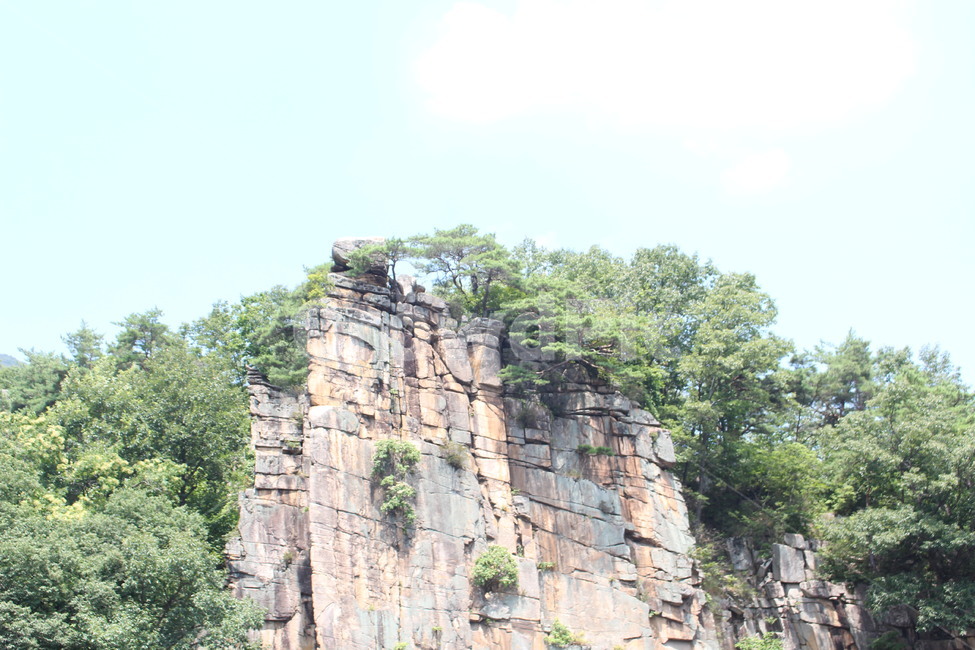 단양팔경,사인암,절벽,나무,풍경,자연환경,돌,명승,단양,자연,풍경,nature,landscape,한국자연풍경,한국자연경관,korea nature landscape,outdoors,옥외,cliff,낭떠러지