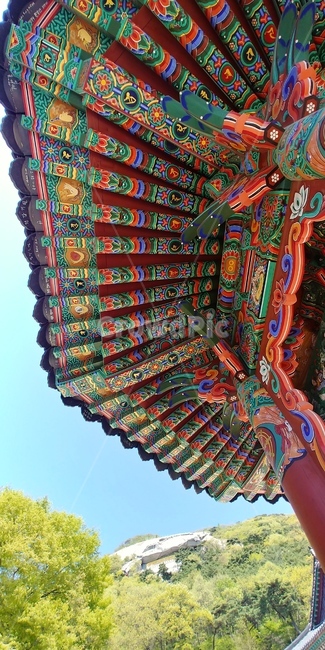 파란하늘,화려한,나무,산,기둥,한국전통,한국문화,korean traditional,korean culture,건축물,건물외관,exterior,building,structure,architecture,construction