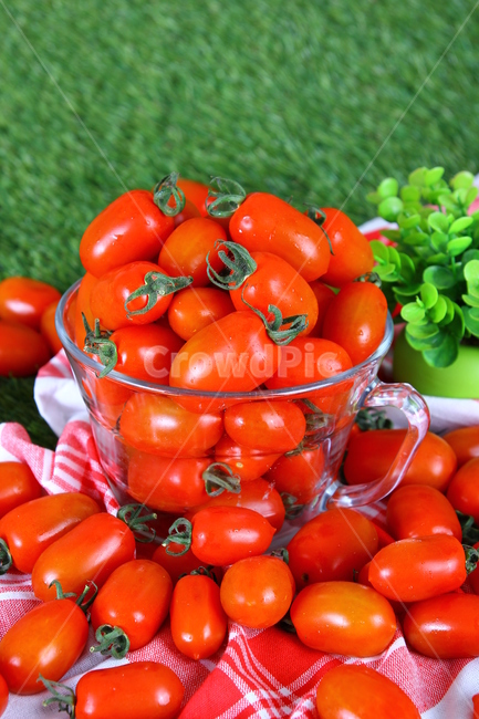 토마토,대추방울토마토,과일,야채,식품,신선,음식,빨간,tomato,jujubetomatoes,fruits,vegetables,fresh,food,red,음식,식재료,요리,food,cook,meal,dishes,food reserves,과일,열매,fruit,채소,야채,vegetables