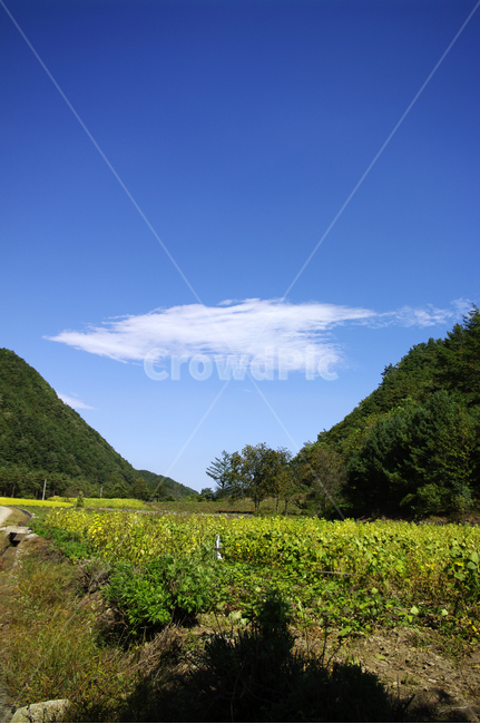 풍경,하늘,구름,산,color,자연,풍경,nature,landscape,outdoors,옥외,grassland,목초지,field,들