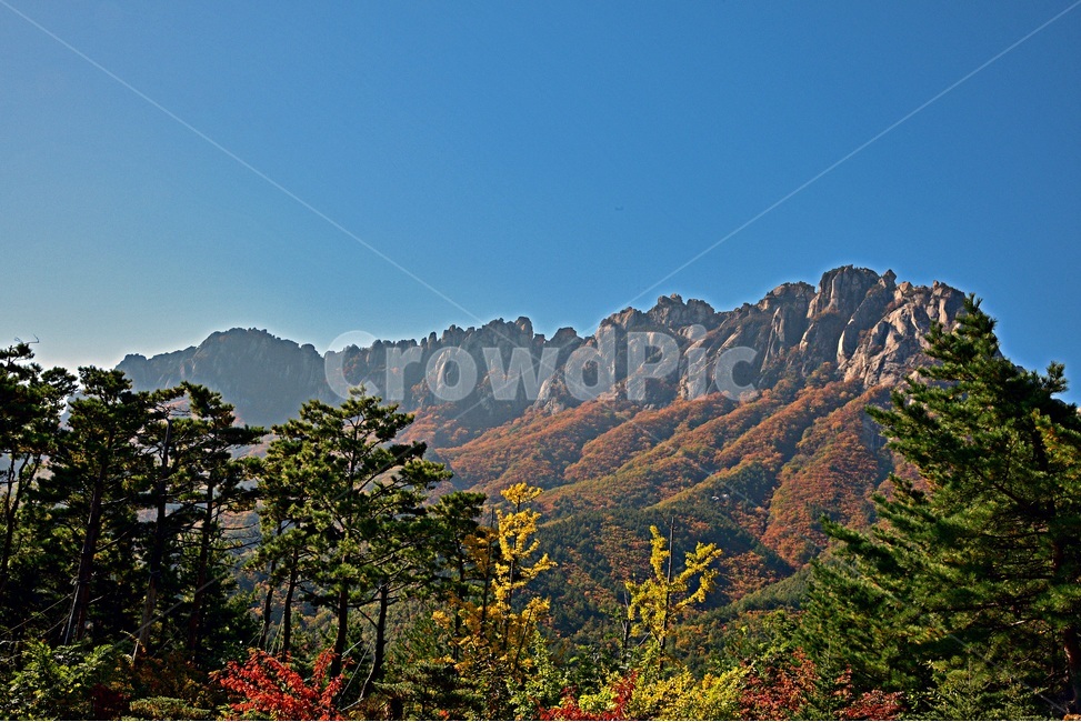 울산바위,설악산,풍경,가을풍경,설악산울산바위,landscape,가을,계절,fall,autumn,season,자연,풍경,nature,landscape,plant,식물,tree,나무,fir,전나무,mountain range,산맥,outdoors,옥외,mountain,산