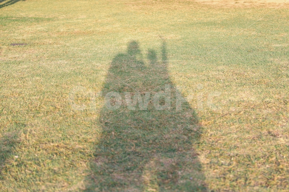 사람,연인,그림자,그림자놀이,잔디,공원,두사람,연인,커플,사랑,lover,couple,인물실루엣,사람실루엣,character silhouette,human silhouette,plant,식물,grass,ground,바닥