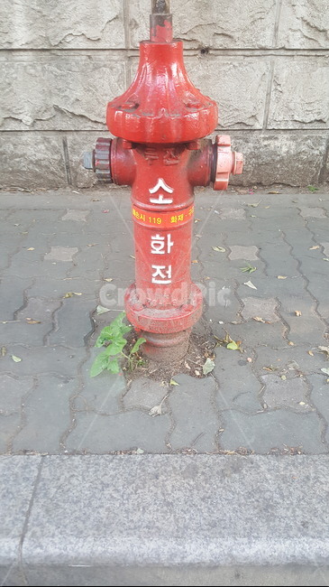 소화전,빨강,길거리,작은희망,물