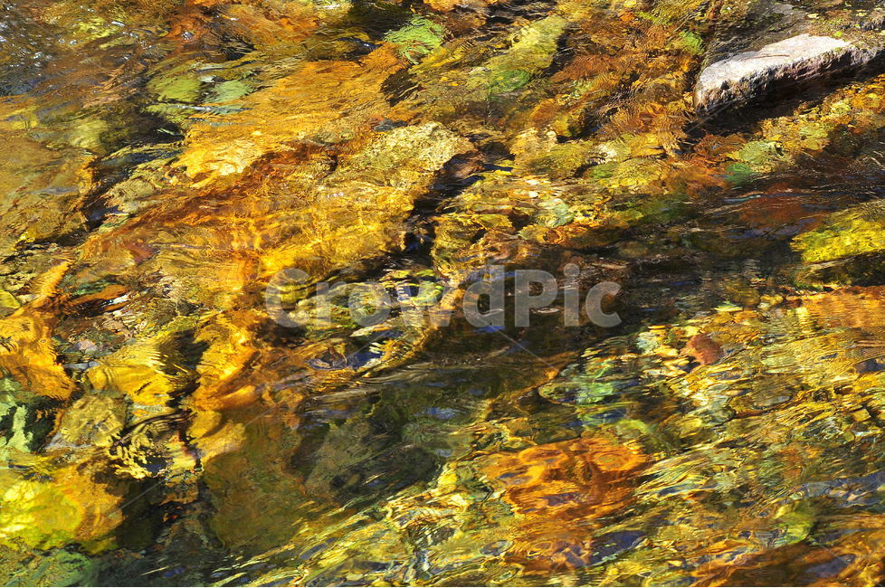 물결,투명,비치다,계곡,설악산,힐링,물,명산,시원함,cool,valley,healing,water,summer,휴식,쉼,맑은,흐르다,flow,mountain,landscape,nature,자연풍경,자연,풍경,계절,시즌,rest,한국자연풍경,여름,청정,순수,오염없는,자연,풍경,nature,landscape,outdoors,옥외,land,땅