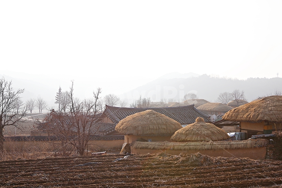 하회마을,초가집,초가,전통집,집,민속집,자연,풍경,겨울,건물,시골,마을,풍경,landscape,country,rural,town,한국전통,한국문화,korean traditional,korean culture