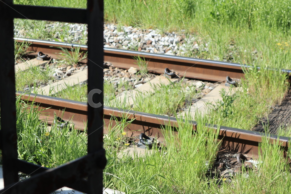 철도,레일,기찻길,교통,rail,교통,교통수단,traffic,transportation