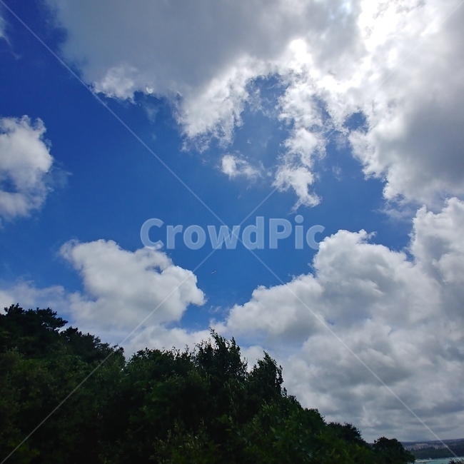 nature,자연,날씨,outdoors,옥외,sky,cloud,자연,풍경,nature,landscape,weather,구름,하늘,cumulus,적운,azure sky,푸른 하늘
