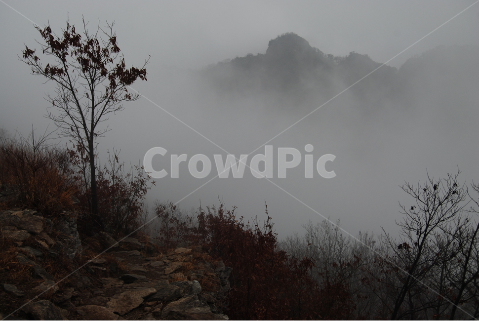 강천산,금성산성,담양군,대나무,등산로,능선,치유,여행,돌,산행,힐링,자연,동행,등산,계절,한국,한국명산,한국등산,풍경,나무,하늘,겨울,계절,winter,season,자연,풍경,nature,landscape,한국자연풍경,한국자연경관,korea nature landscape,weather,날씨,outdoors,옥외