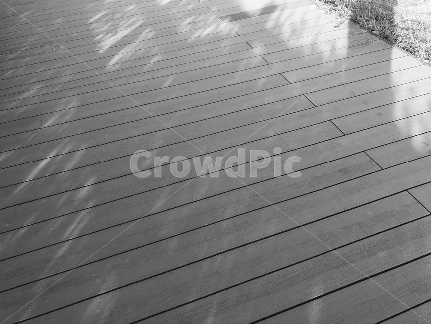 nature,outdoors,옥외,feeling,흑백사진,흑백,tree,나뭇가지,공원,하늘,sky,흑백,모노톤,monochrome,black and white
