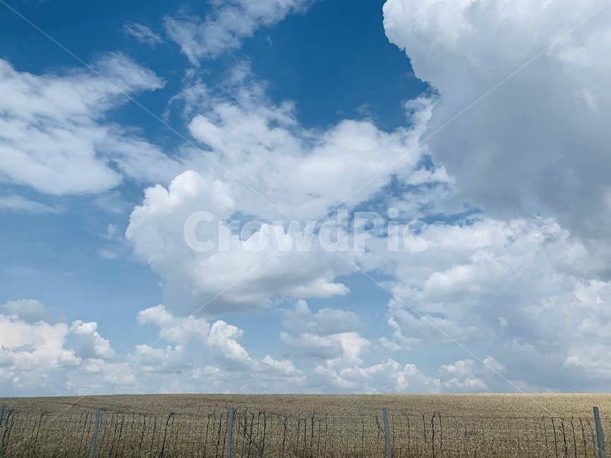 자연,nature,weather,날씨,sky,outdoors,옥외,초원,하늘,구름,하얀구름,화이트,파란,블루,시골