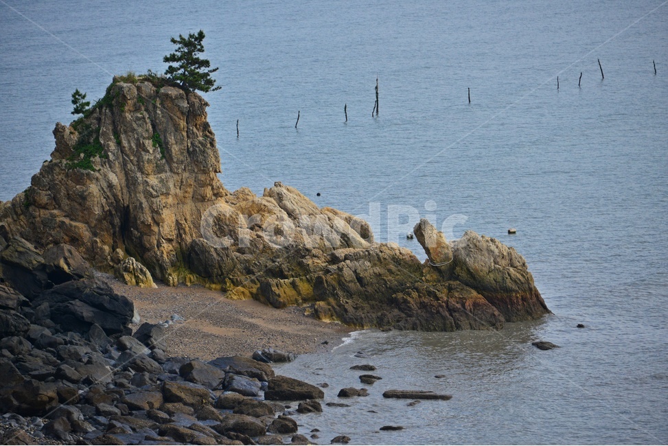 promontory,곶,nature,자연,outdoors,옥외,영광,백수,백수해안,거북이바위,거북이