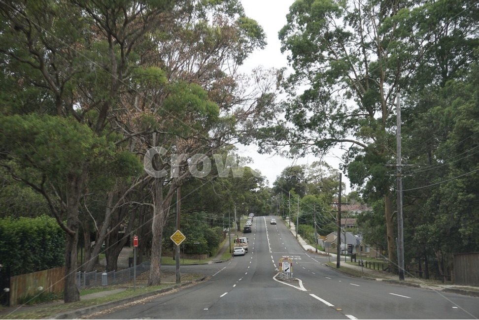 자연,호주,나무,해외,nature,australia,overseas,tree,시드니,sydney,자연,풍경,nature,landscape,road,도로,automobile,자동차,car,차,vehicle,차량,transportation,교통,freeway,고속 도로,highway,고속도로