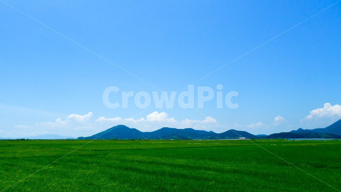 nature,자연,field,들,outdoors,옥외,plant,식물,grass,잔디,풍경,산,하늘,자연,풍경,nature,landscape,grassland,목초지
