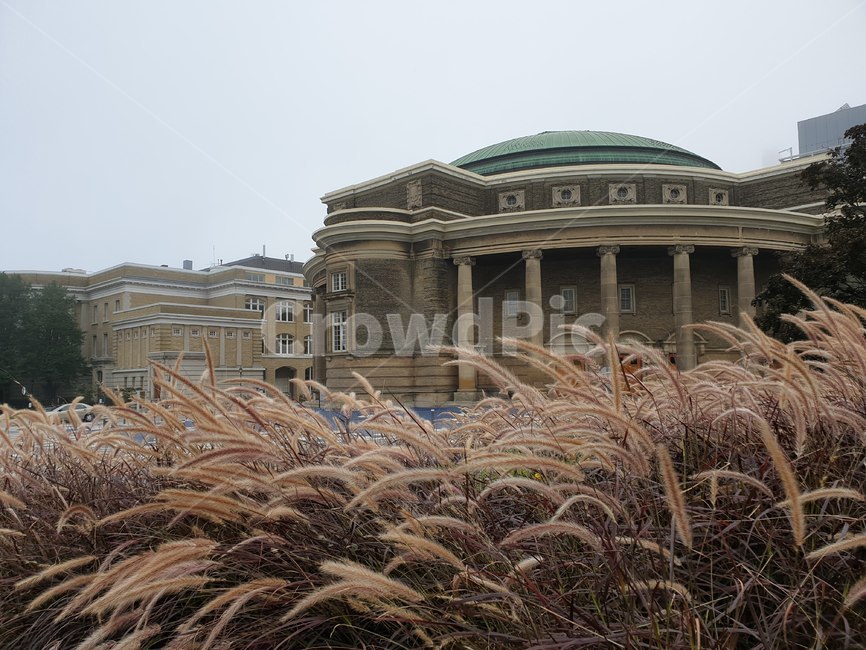 갈대,건물,안개,reed,universityoftoronto,ufot,hall,fog,canada,toronto,토론토,대학,학생회관,캐나다,건축,campus,캠퍼스,building,건축물,건물외관,exterior,building,structure,architecture,construction