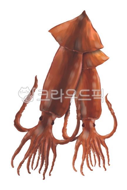 오징어,그림,일러스트,초코색오징어,음식