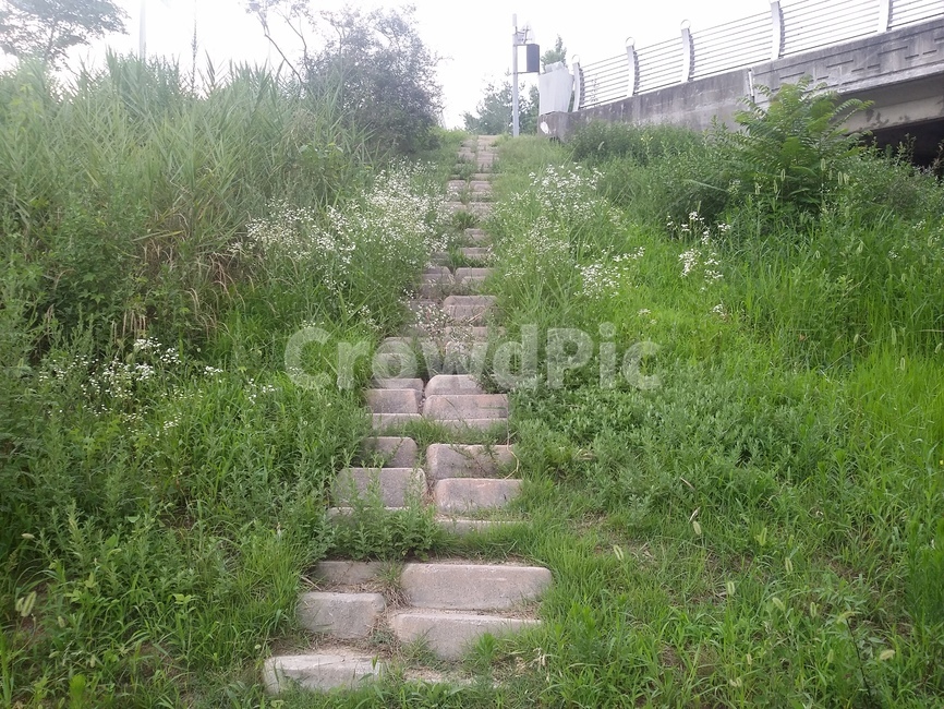 Path in nature,road,stairs in the forest,stairs,forest road,staircase