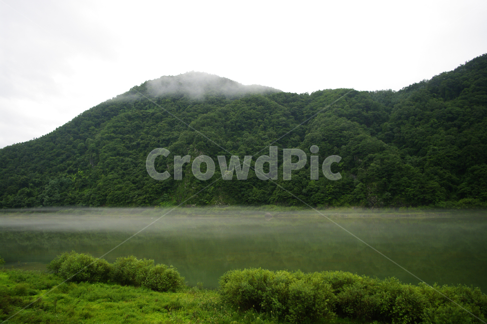 산,구름,풍경,cloud,강,물안개,자연,풍경,nature,landscape,한국자연풍경,한국자연경관,korea nature landscape,outdoors,옥외,hill,언덕