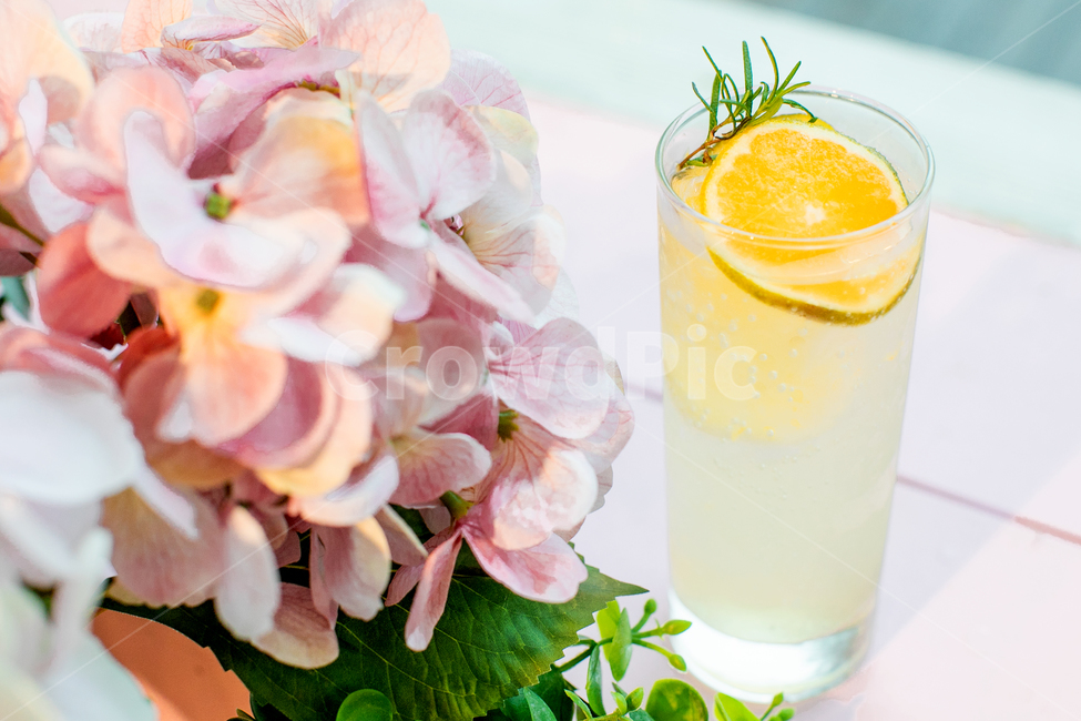 마실것,레몬에이드,drink,beverage,청귤에이드,청량함,청귤,오렌지,레몬,음료수,drink,beverage
