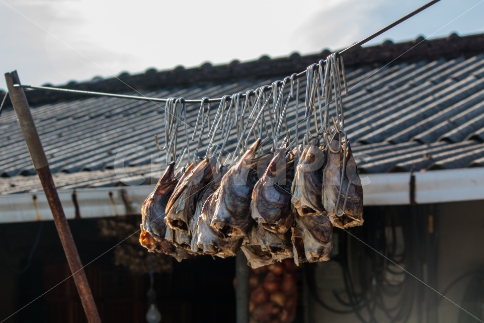 명절,설,시골집,명절분위기,명태대가리,음식,식재료,요리,food,cook,meal,dishes,food reserves,수산물,해산물,fishery products,seafood