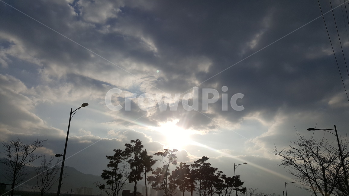 light,빛,flare,플레어,nature,자연,weather,날씨