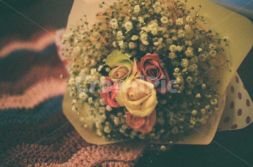 선물,꽃,꽃다발,장미,안개꽃,뜨개질,감동,사랑,필름사진,가족,연인,고백,따뜻한,행복,flower,rose,sensitive,love,꽃,flower,기념일,축하,anniversary,congratulation,celebrate,celebration,감성,sensible,feeling