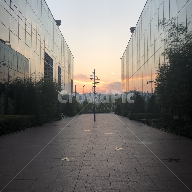 하늘,건물사이,일출,건물,가로등
