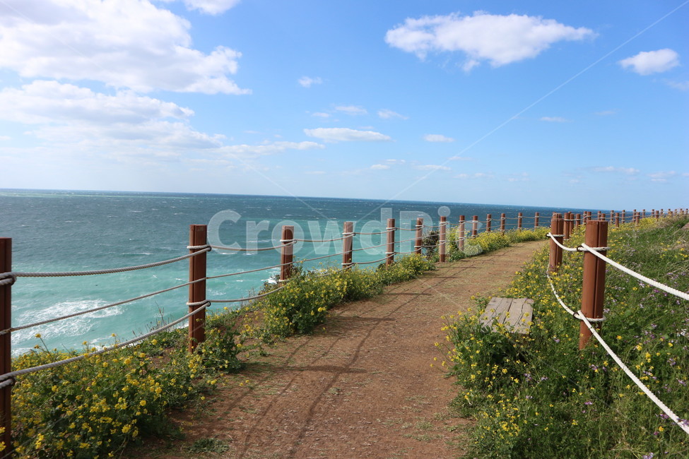 함덕,서우봉,산책로,바다,꽃길,제주도,구름