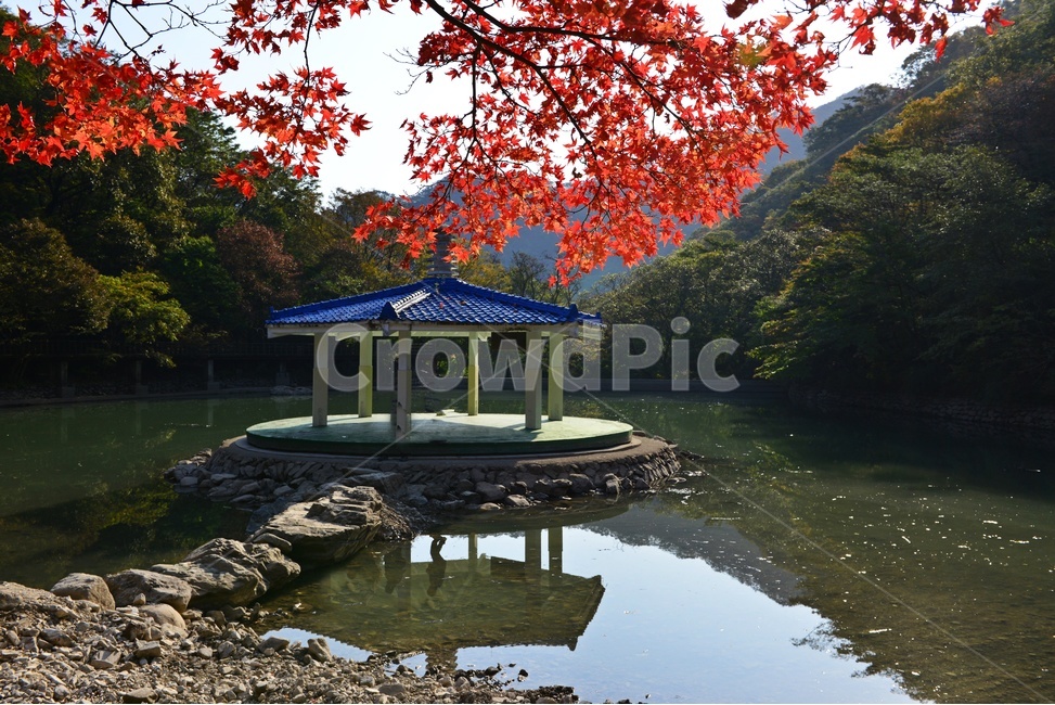 정읍,내장사,우화정,우화정가을,가을,계절,추색,추경,경,경관,풍경,자연,plant,식물,leaf,잎,maple,단풍,나무,gazebo,전망대,가을,계절,fall,autumn,season,자연,풍경,nature,landscape,한국자연풍경,한국자연경관,korea nature landscape