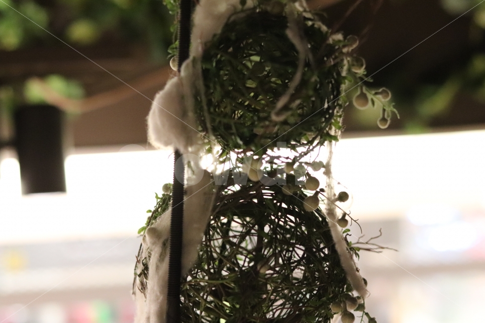 감성사진,초록,장식,자연,풀,식물,자연,plants,nature,감성,sensible,feeling,인테리어,실내디자인,interior design