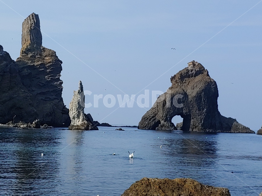 독도,섬,돌산,바닷가,울릉도,바위,갈매기,자연,풍경,nature,landscape,outdoors,옥외,ocean,대양,sea,바다,water,물,shoreline,해안선