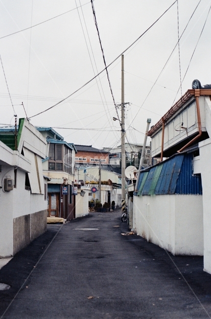 길,동네,고향,road,village,hometown,고즈넉함,필름사진,filmphoto