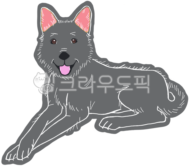 진돗개,진도개,개,강아지,시골강아지,강아지의날,허스키,견종,펫,펫샵,유기견,유기견보호소