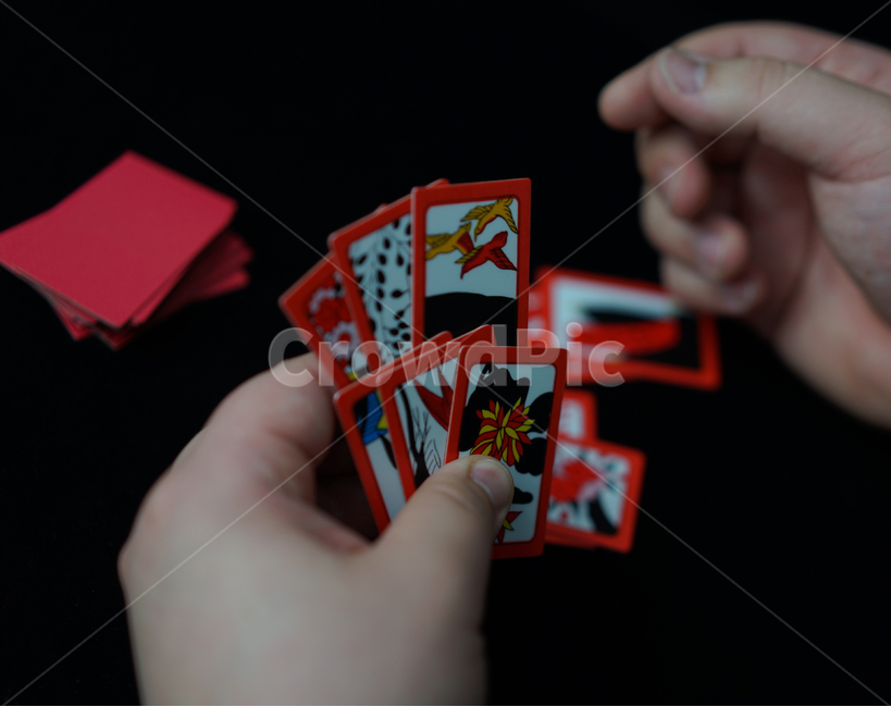 화투,화투패,고스톱,도박,게임,놀이,손가락,손동작,노름,하나후다,맞고,섯다,화투장,사람,인물,인간,human,person,신체일부,몸,body,게임,오락,놀이,game,play