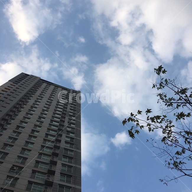 풍경,하늘,파란하늘,감성,아침,건축물,건물외관,exterior,building,structure,architecture,construction