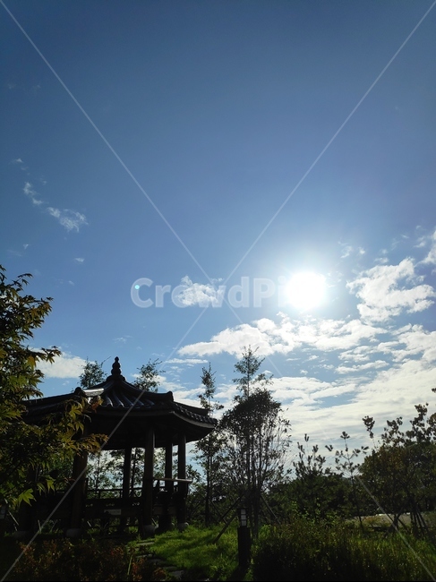 outdoors,nature,flare,light,옥외,자연,플레어,빛,정자,공원,자연,풍경,nature,landscape