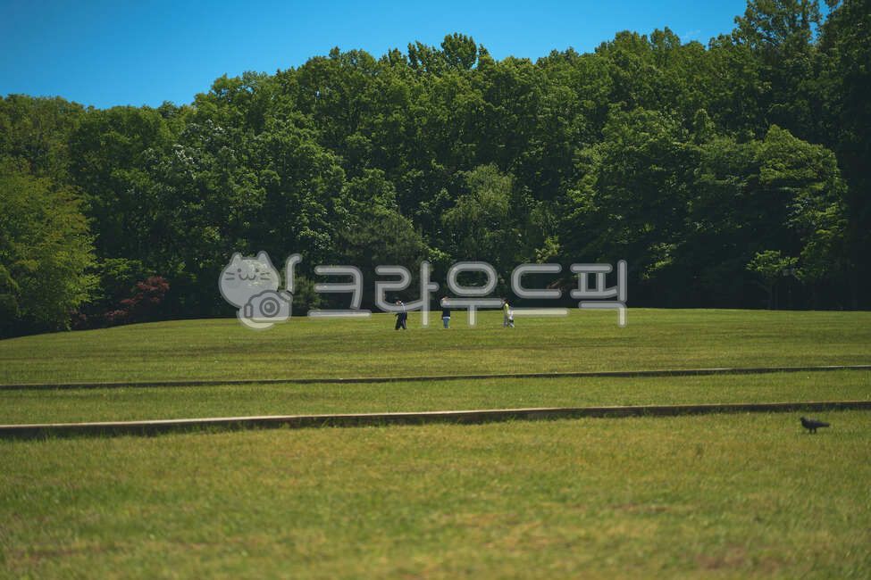 공원,파란하늘,맑은하늘,잔디밭,구름,야외공원,맑은날씨,sky,park,공원배경,식물,plant,목초지,들,자연,nature,옥외,outdoors,동네산책