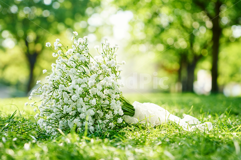 부케,꽃,정물,결혼,로맨틱,조화,식물,컬러풀,숲,공원,녹색,자연,꽃,flower,결혼,혼례,웨딩,wedding,marriage,marry,기념일,축하,anniversary,congratulation,celebrate,celebration,휴식,힐링,rest,relaxation,healing