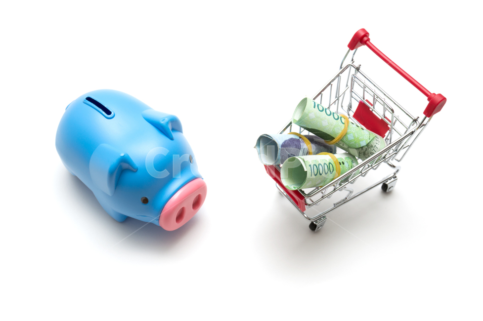 insurance,studio,original picture,directed photo,piggy bank,fee,white background,source,salary,cart,banknote,bank,assets,property,tied money,payment,savings,stock,cash,shopping,10,budget,Oriental,accumulation,single photo,bundle of money,tax,economy,savin