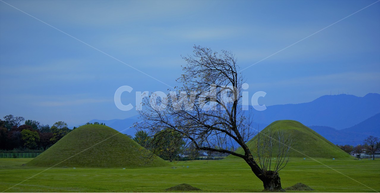 경주,왕릉,가을,문화재,신라,역사,무덤,자연,풍경,nature,landscape,outdoors,옥외,grassland,목초지,field,들