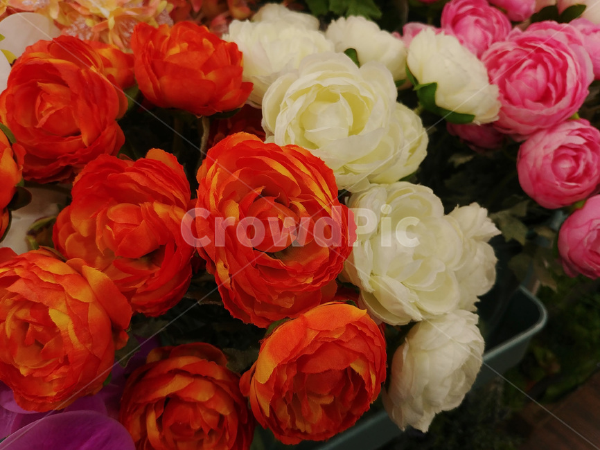 꽃,꽃다발,디스플레이,플라워,백그라운드,장식,데코레이션,꽃잎,flowers,칼라,color,식물,축하,조화,배경화면