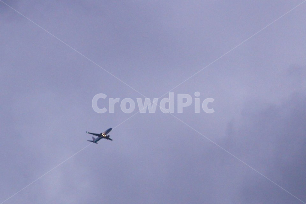 animal,aircraft,airplane,비행기,항공기,동물,bird,transportation,vehicle,새,flying,나는,교통,차량,하늘,sky,교통,교통수단,traffic,transportation