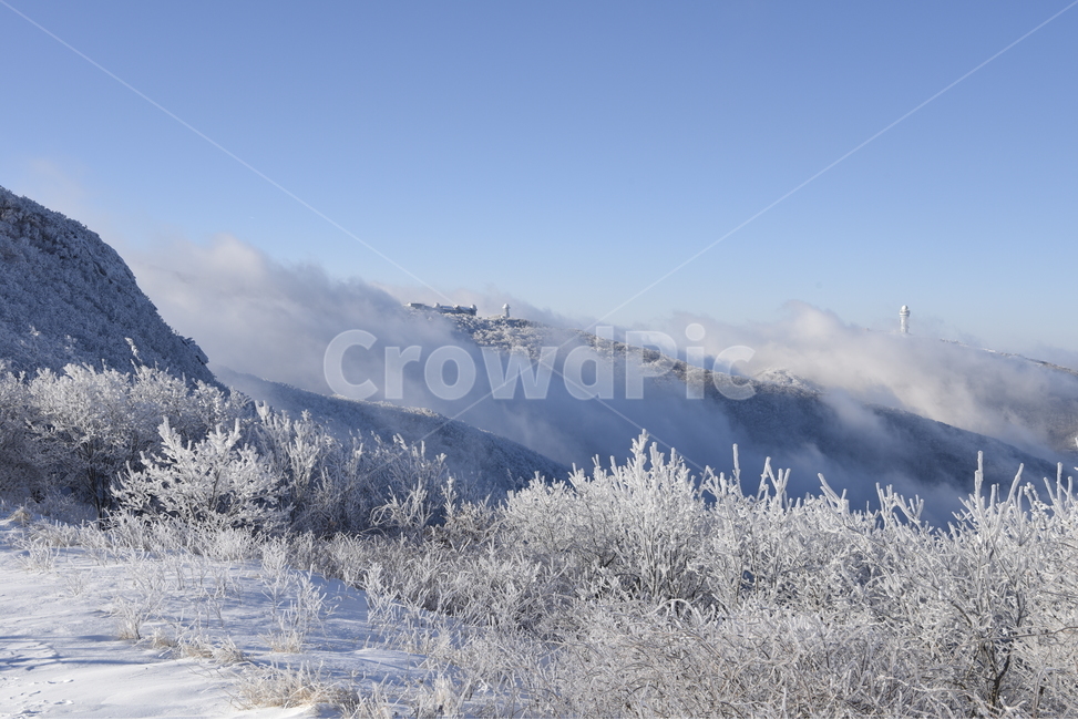 소백산,상고대,눈꽃,설경,천문대,강우관측탑,겨울,계절,winter,season,자연,풍경,nature,landscape,한국자연풍경,한국자연경관,korea nature landscape,ice,빙,outdoors,옥외
