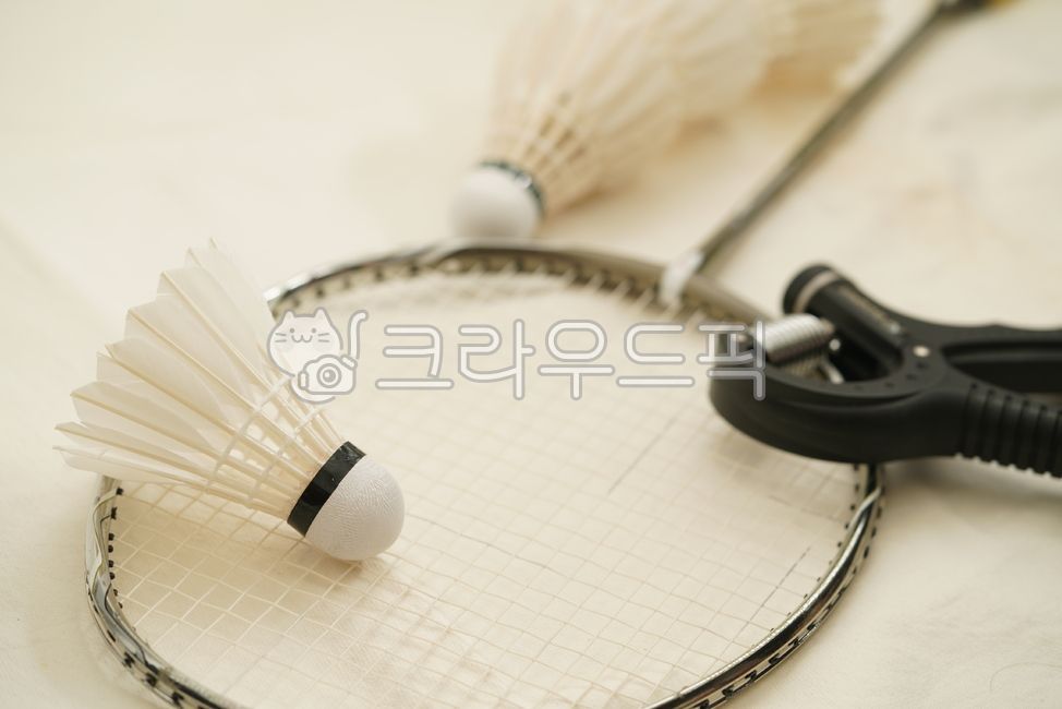 shuttlecock,feather,work out,White,sports,Badminton,equipment,badminton,hobby