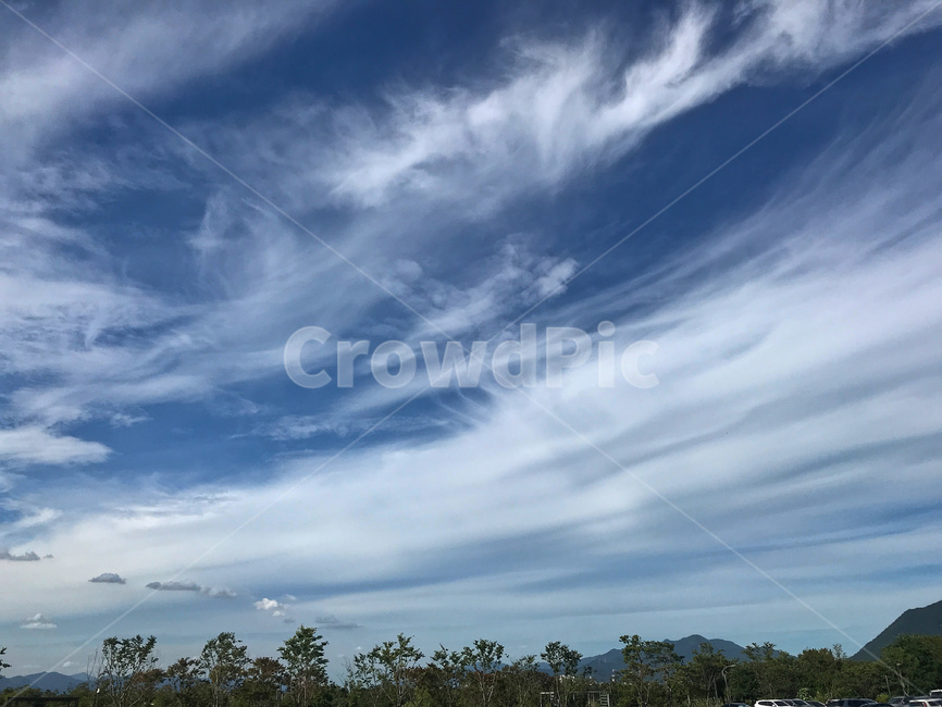 자연,옥외,하늘,구름,야외,날씨,맑음,낮,질감,atmosphere,background,beautiful,beauty,blue,bright,clear,cloud,cloudscape,cloudy,color,day,environment,nature,outdoor,sky,sunny,weather,white,silky