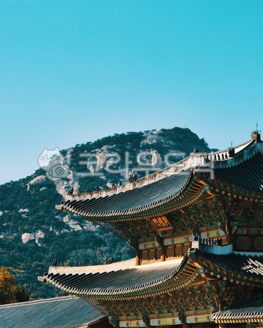 경복궁,단풍,궁,고궁,기와,단청,풍경,궁궐,한옥,전통,가을,배경화면,바탕화면,wallpaper,architecture,건축학,building,건물,한국전통,한국문화,korean traditional,korean culture,건축물,건물외관,exterior,building,structure,architecture,construction