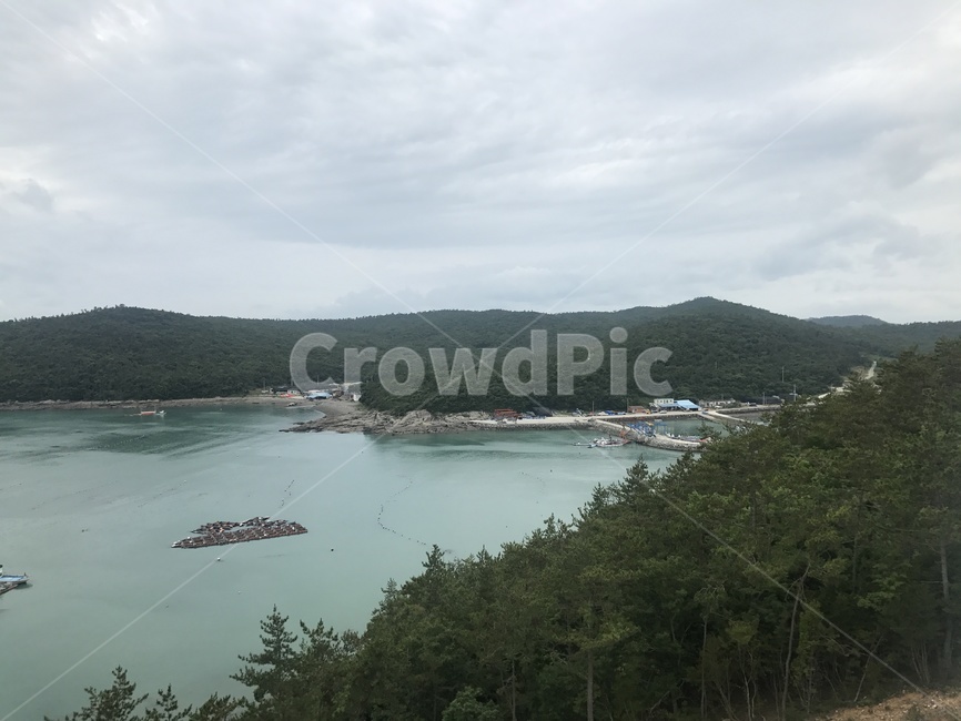 water,물,nature,자연,land,outdoors,옥외,shoreline,해안선,ocean,대양,sea,바다,완도