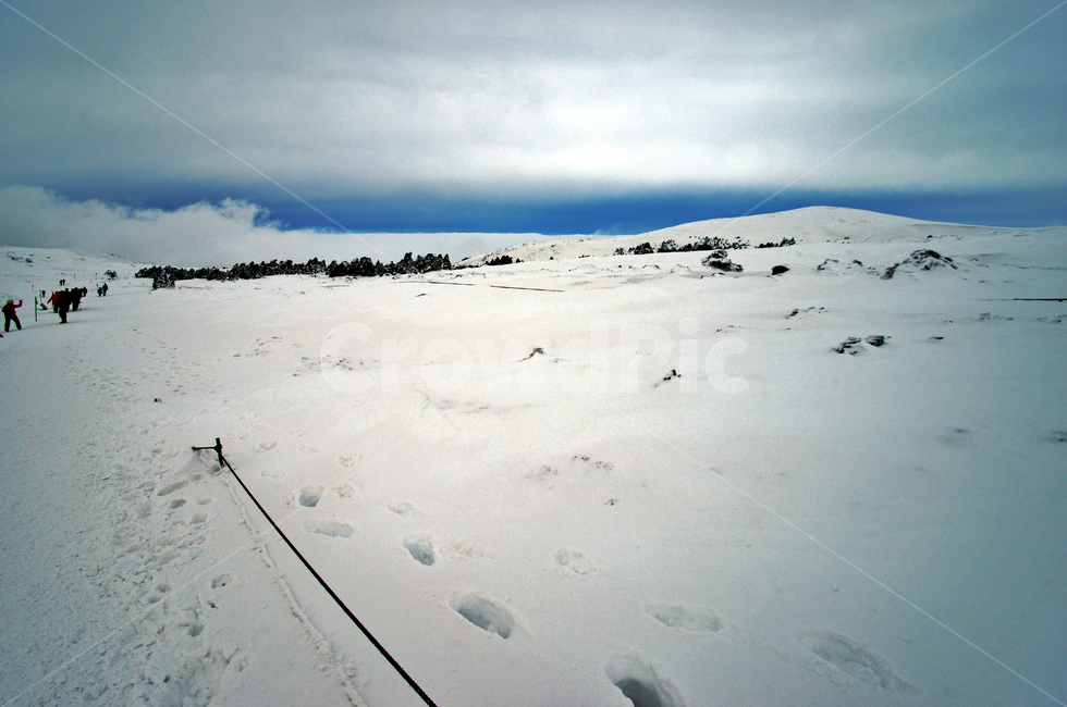 겨울산,한라산,제주도,설경,어리목코스,설산,한라산설경,겨울,눈,겨울,계절,winter,season,자연,풍경,nature,landscape,한국자연풍경,한국자연경관,korea nature landscape